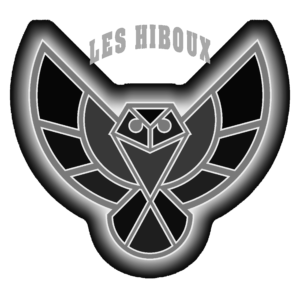 Logo LES HIBOUX trans